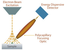 Environmental Scanning Electron Microscopy ESEM