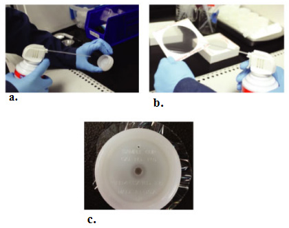 Sample preparation for sulfur and chlorine analysis in biodiesels